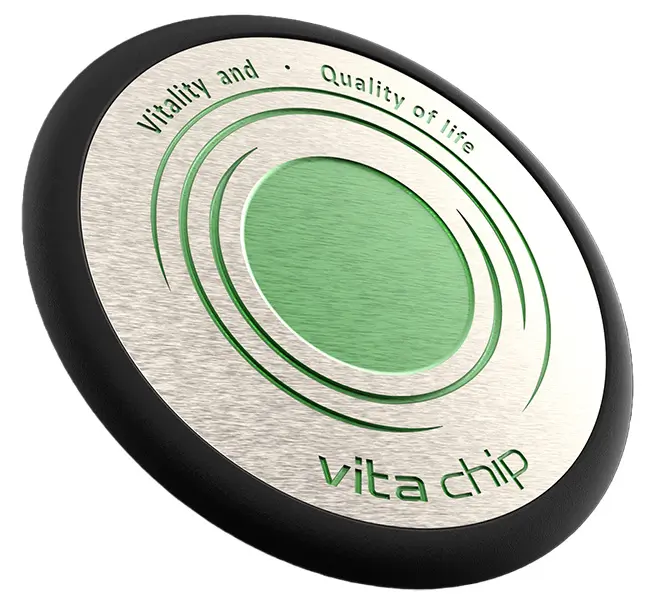 Vita Chip 2.0 Image