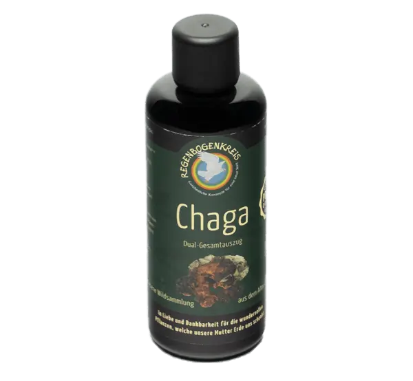 Chaga Tinktur, Wildsammlung, 100 ml