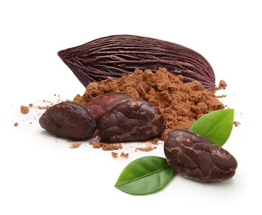 Kakaobohnen und -Pulver