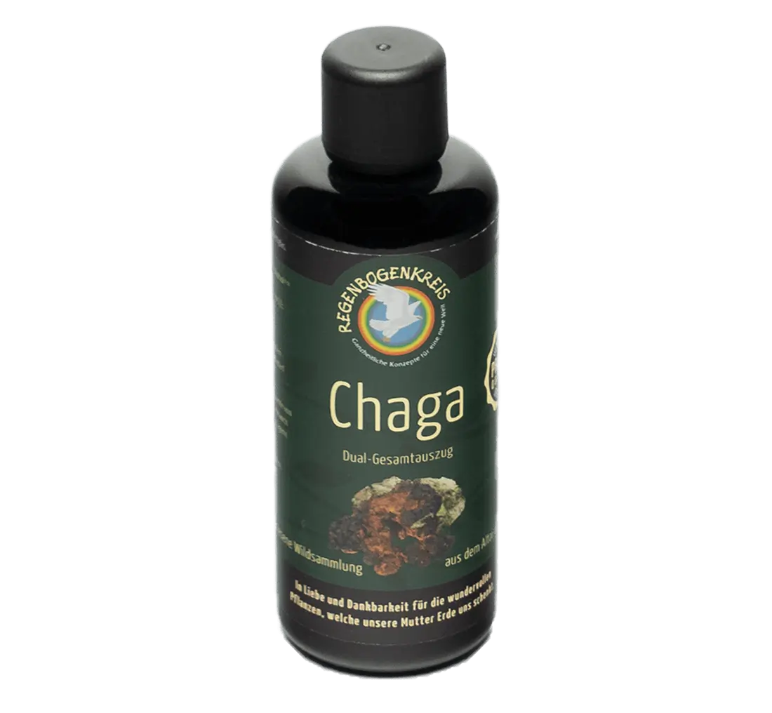 Chaga Tinktur, Wildsammlung, 100 ml Image